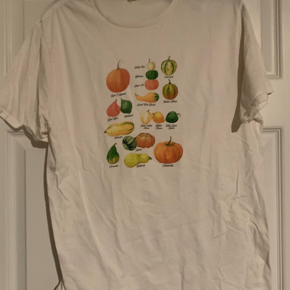 Urban outfitters large squash pumpkins tee shirt